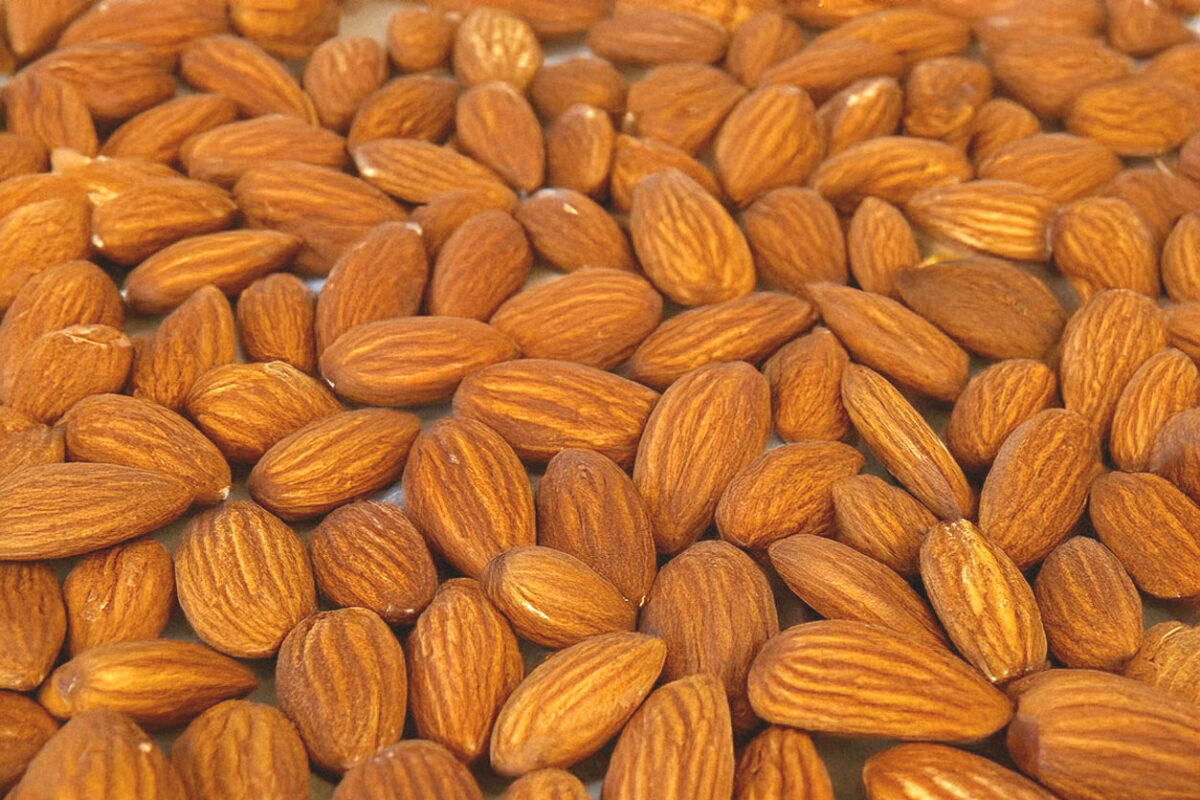 brown almonds