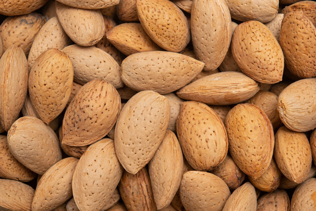 inshell almonds