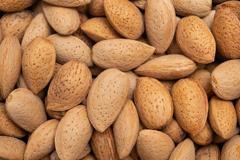 inshell almonds